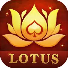 rummy bandaas download